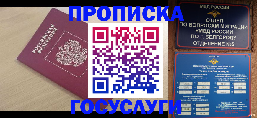 прописка законно в Камчатском крае